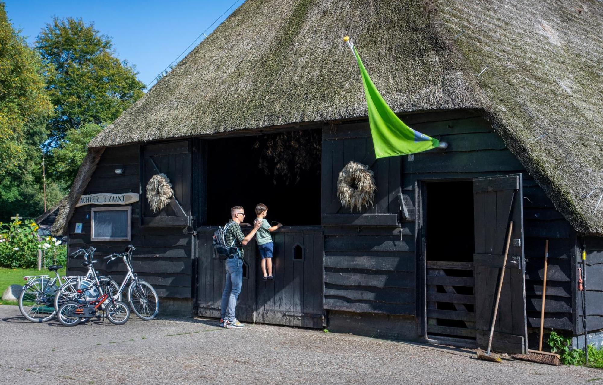 Camping De Bosrand Spier Exterior photo